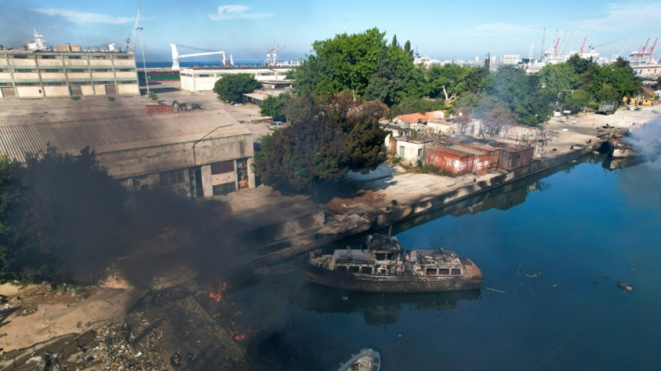L'ONU demande l'arr&ecirc;t "des frappes et mouvements isra&eacute;liens" en Syrie 