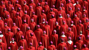 Crowds flock to Pope Francis tomb, as eyes turn to conclave