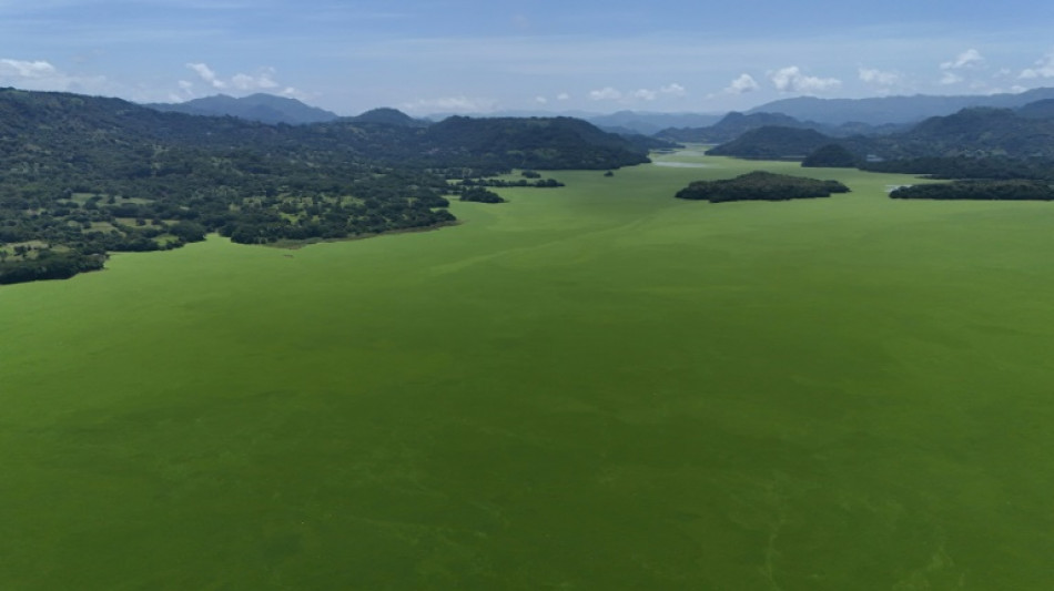 Salvador: un immense lac envahi d'algues vertes, p&ecirc;che et tourisme &agrave; l'arr&ecirc;t