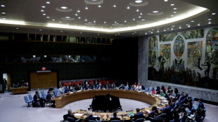 US faces pressure in UN Security Council vote on Gaza