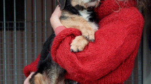 Brigitte Bardot, 'sono prigioniera di me stessa'