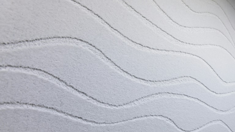 La moquette tente un retour dans les int&eacute;rieurs fran&ccedil;ais