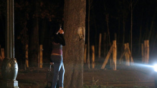 Stress post-traumatique, dépression, violences : l'état de santé "alarmant" des prostituées
