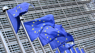 Treffen von europ&auml;ischen Au&szlig;enministern und Chefdiplomaten der Westbalkan-Staaten