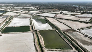 La lucha contra la sequ&iacute;a est&aacute; acabando con las granjas pisc&iacute;colas en Irak
