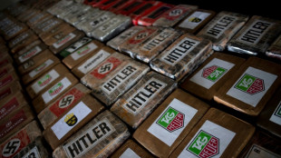 Spain seizes record 9.5 tonnes of cocaine from Ecuador