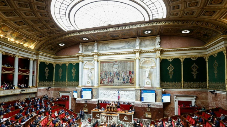 L'Assembl&eacute;e s'empare du budget avant un 49.3 rapide