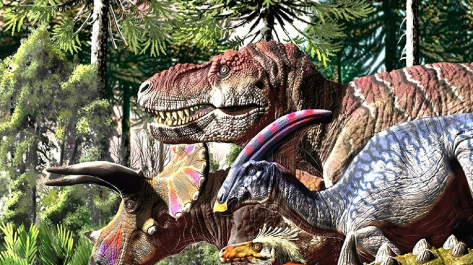 "Mondes disparus": remonter 3,5 milliards d'ann&eacute;es en r&eacute;alit&eacute; virtuelle