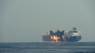 Un mercantile attaccato nel mar Rosso al largo dello Yemen