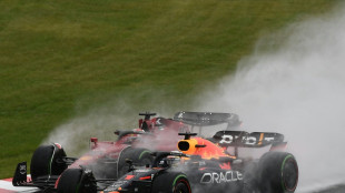 Japan-Rennen unterbrochen - Schrecksekunde f&uuml;r Gasly