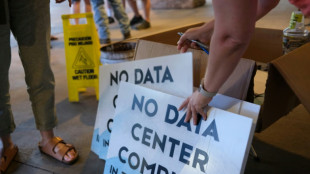 Un buc&oacute;lico pueblo de EEUU se enfrenta al hambre de energ&iacute;a inducida por la IA