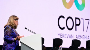 &Agrave; la COP17, le monde s'engage &agrave; remettre sur les rails les efforts pour prot&eacute;ger la nature