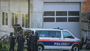 Media, 9 morti e molti feriti gravi nella scuola in Austria