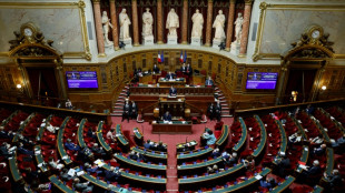 Pouvoir d'achat: au tour du S&eacute;nat, apr&egrave;s les prolongations jou&eacute;es par les d&eacute;put&eacute;s