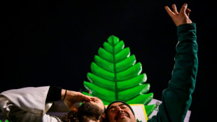 Le cannabis r&eacute;cr&eacute;atif devient l&eacute;gal en Allemagne malgr&eacute; les critiques