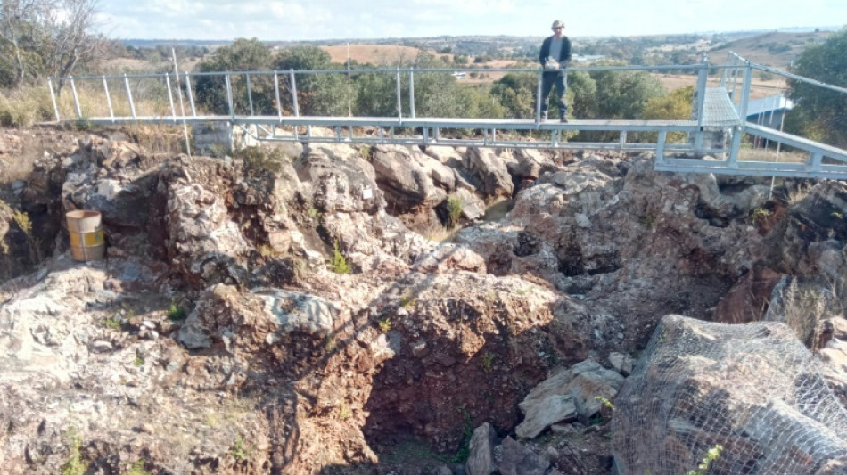 L'australopith&egrave;que "Madame Ples", cette cousine sud-africaine de Lucy