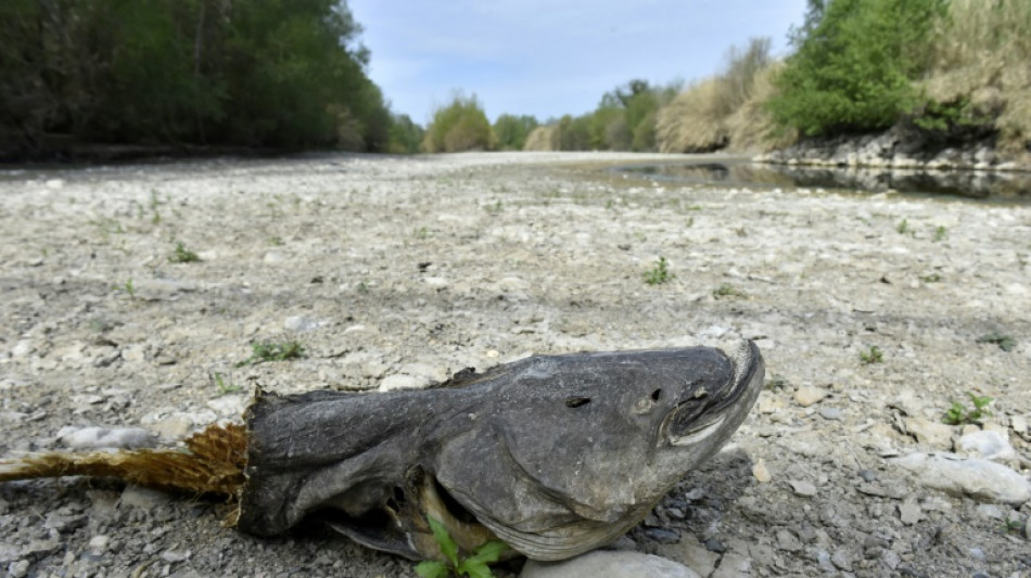 Felder bew&auml;ssern ist in s&uuml;dlichen Pyren&auml;en nun verboten
