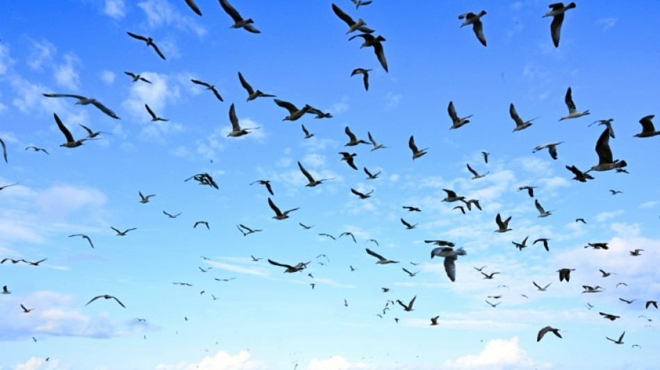 Les p&ecirc;cheurs fran&ccedil;ais r&eacute;unis &agrave; Boulogne-sur-Mer pour d&eacute;fendre leurs acc&egrave;s &agrave; la mer