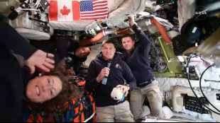 Canadian astronaut describes 'phenomenal' Artemis journey