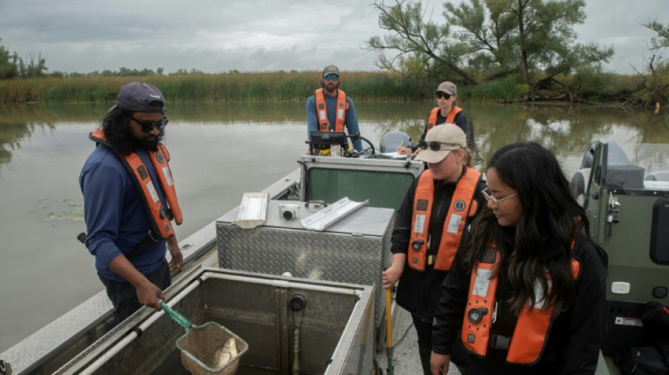 Face &agrave; la carpe asiatique, le Canada et les Etats-Unis r&eacute;sistent aux divisions politiques