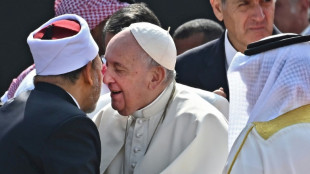 A Bahre&iuml;n, le pape appelle &agrave; l'unit&eacute; face &agrave; la logique des "blocs oppos&eacute;s"