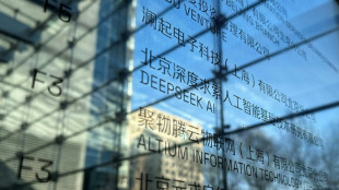 DeepSeek: les restrictions am&eacute;ricaines derri&egrave;re le succ&egrave;s de l'IA chinoise?
