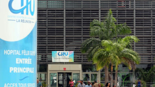 La R&eacute;union sous la pression du chikungunya 