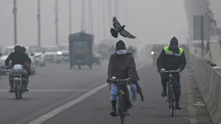 Delhi bans old cars from refuelling to help tackle city's pollution