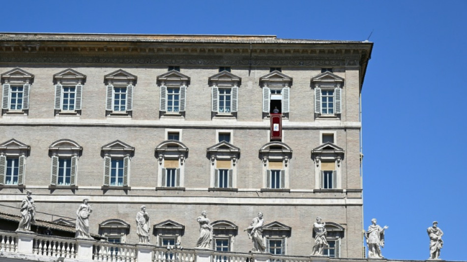 El papa dice que la energ&iacute;a at&oacute;mica s&oacute;lo debe usarse para la paz