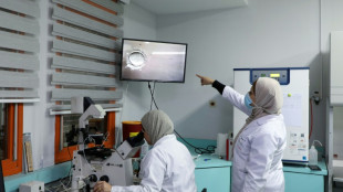 Todo por un var&oacute;n: un viaje a Cisjordania para elegir el sexo del beb&eacute;