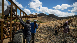 Ni dominicanos ni haitianos: la lucha de los ap&aacute;tridas por una identidad