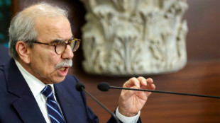 Liban: le gouvernement examine un plan de l'arm&eacute;e pour d&eacute;sarmer le Hezbollah