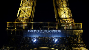 Ir&atilde; executou 834 pessoas no ano passado, o maior n&uacute;mero desde 2015
