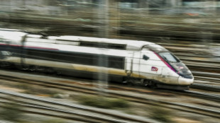 La SNCF se dit victime d'"une attaque massive pour paralyser le r&eacute;seau" TGV 