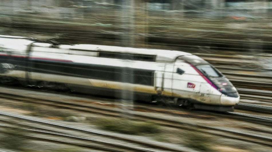 SNCF: la ligne LGV Sud-Est &agrave; l'arr&ecirc;t, 80.000 voyageurs affect&eacute;s