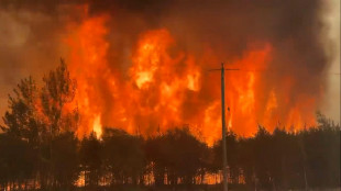 Il Canada colpito dagli incendi, distrutte 100 case a Terranova