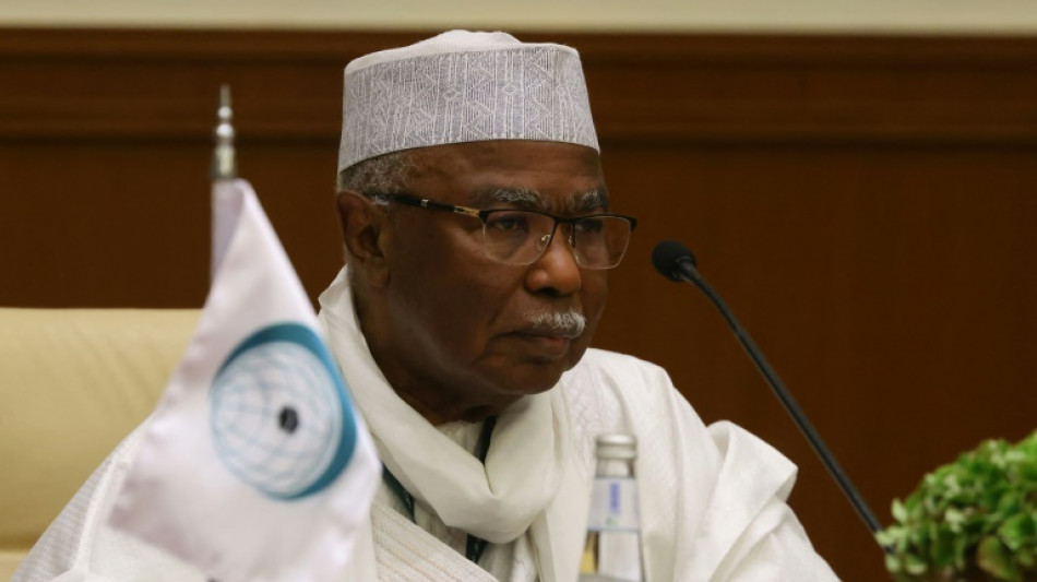 Plan arabe pour Gaza: r&eacute;union des pays musulmans en Arabie saoudite