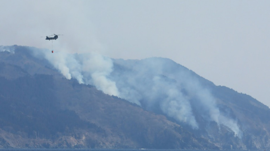 Miles de personas huyen del norte de Jap&oacute;n, arrasado por incendios forestales