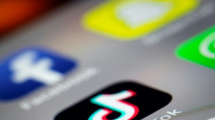 Sur TikTok, les marques n'&eacute;chappent pas &agrave; la d&eacute;sinformation