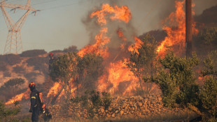 Waldbrände wüten in Westtürkei und auf Kreta - ein Todesopfer nahe Izmir