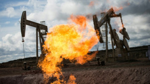 Reiche gehen Lockerungen der EU-Regeln f&uuml;r Gas- und &Ouml;limporte nicht weit genug