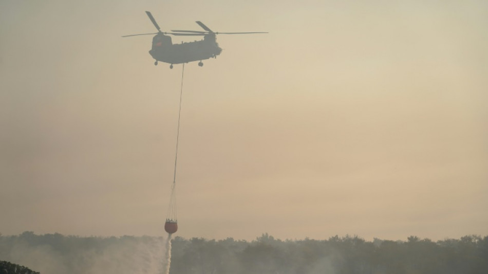 Feu de for&ecirc;t &agrave; Chypre, deux morts