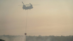Feu de for&ecirc;t &agrave; Chypre, deux morts