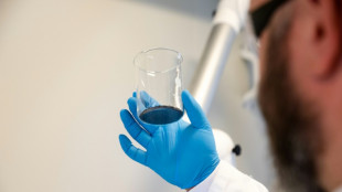 En Norv&egrave;ge, la qu&ecirc;te de "l'or noir" des batteries usag&eacute;es