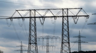 Haushalte in Deutschland waren 2022 im Schnitt rund zw&ouml;lf Minuten ohne Strom
