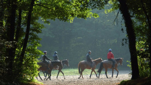 La for&ecirc;t de Chantilly, sentinelle menac&eacute;e du r&eacute;chauffement climatique