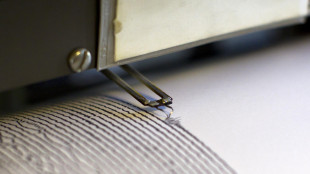 Terremoto di magnitudo 3.1 ai Campi Flegrei