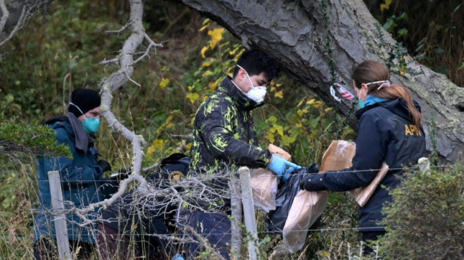Una misi&oacute;n cient&iacute;fica en busca de hantavirus Andes captur&oacute; unos 150 roedores en Ushuaia