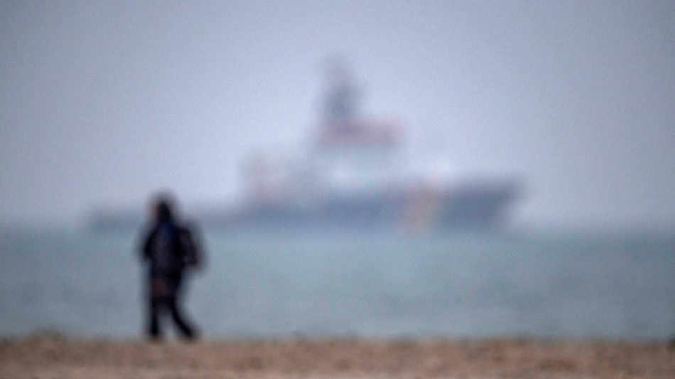 Babyseehund verirrt sich an Deichpromenade: Einsatz f&uuml;r Feuerwehr in Bremerhaven