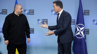 Rutte,'Nato deve aumentare del 400% la sua difesa aerea'